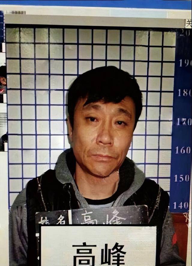 包含20年前，那个让那英甘愿“未婚生子”的前国脚高峰，如今过得怎样的词条