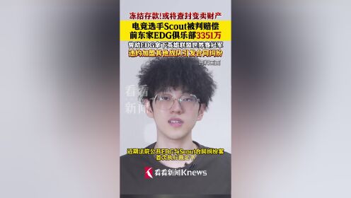 星空体育-包含EDG申请执行冻结、划拨Scout在L银行3351516244存款和利息以及延迟履行期间的加倍债务利息的词条